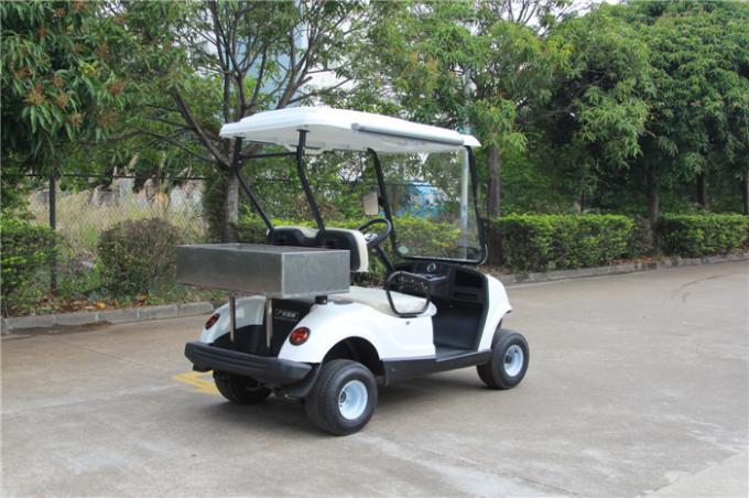 貨物箱が付いている2台の人の小型電気ゴルフ カートのモーターを備えられたゴルフ バギー 0