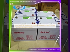 鉛酸自動車バッテリー 6V 170AH マシュエル クラブカー ゴルフカート パーツとアクセサリー