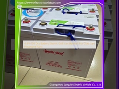 4-EV-150 乾電池 電動ゴルフカー マシュエル クラブカート用 前回部品