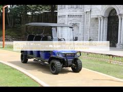 48V電動ゴルフカート 走行距離70~80km 高速18~40km/h 高速510kg 高速ゴルフコースや観光施設